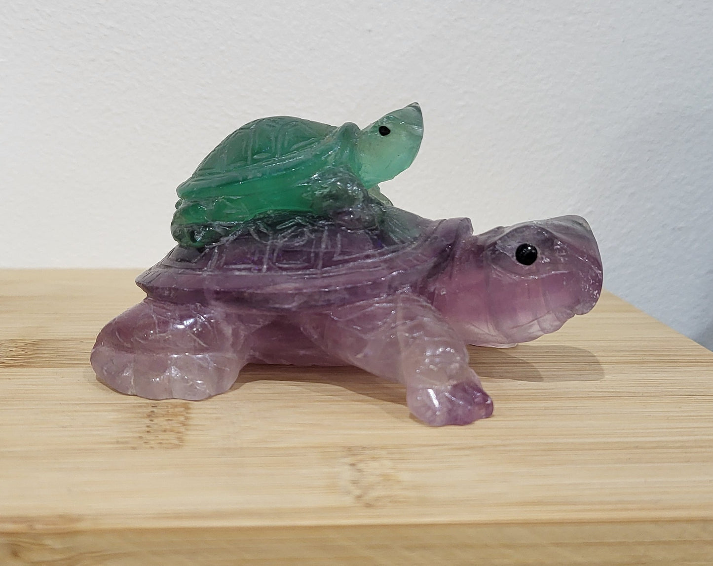 Tortues Fluorite